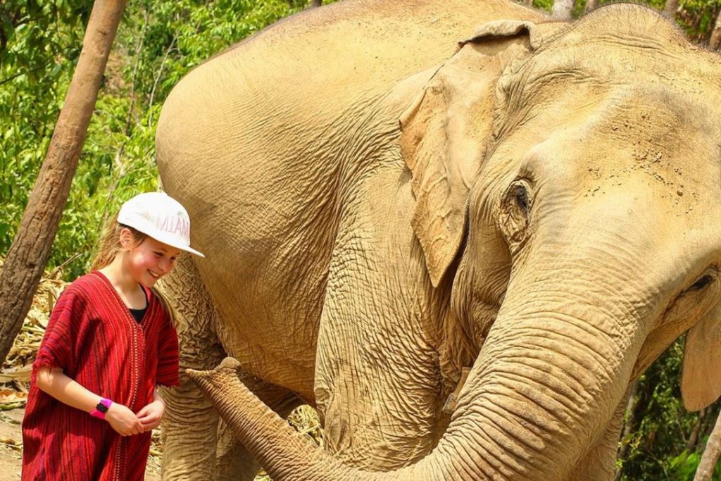 Elephant Sanctuaries Kata Rocks Phuket