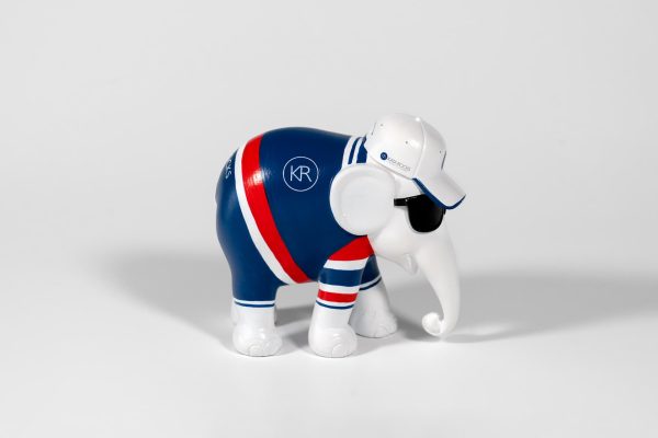 KR Elephant - Image 3