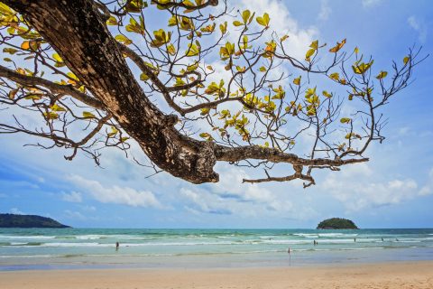 Kata Beach