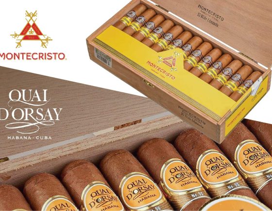 Zaccapa EventBanner-c